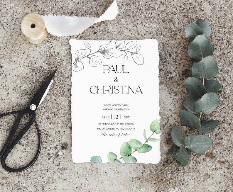 Winter greenery watercolor clipart, eucalyptus clipart png, digital download, commercial, line art
