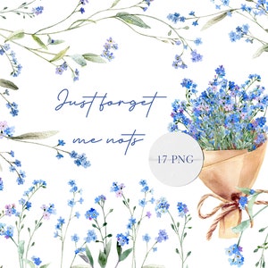 Forget me not clipart, aquarelle fleurs bleues png, bouquet floral, aquarelle myosotis png, téléchargement numérique