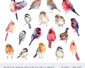 May include: Watercolor clipart of 18 winter birds in various poses. The birds are painted in shades of red, blue, brown, gray, and white. The birds are all facing forward and are set against a white background. The text "WINTER BIRDS WATERCOLOR CLIPART 18 PNG / 300 DPI" is at the bottom of the image.