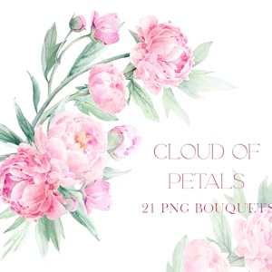 Clipart di peonie acquerello clipart floreale rosa fiori acquerello png peonie acquerello rosa cipria matrimonio clip art