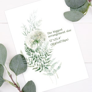 May include: A watercolor painting of a white dandelion with green ferns. The text "The biggest arrangement size 12" x 22.4" (3643x6721px)" is written in the bottom right corner.