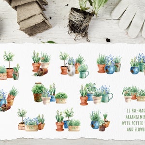 May include: Twelve watercolor illustrations of pre-made arrangements with potted herbs and flowers. The arrangements feature a variety of herbs and flowers in different colored pots.