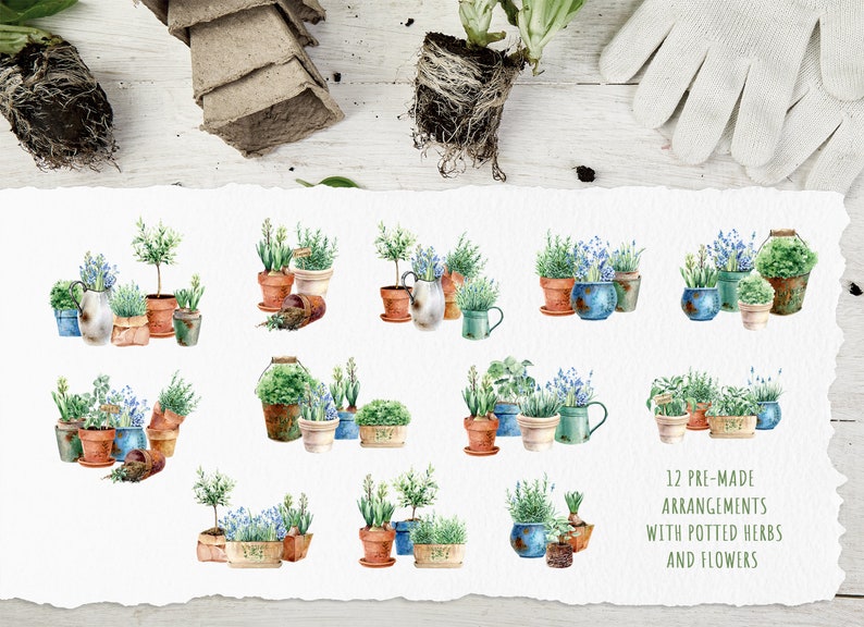 May include: Twelve watercolor illustrations of pre-made arrangements with potted herbs and flowers. The arrangements feature a variety of herbs and flowers in different colored pots.