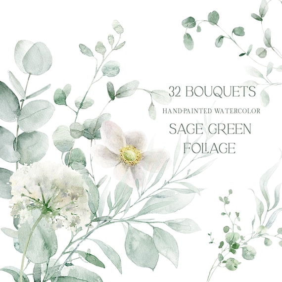 Greenery clipart, watercolor greenery clip art, watercolor eucalyptus png, sage green wedding clipart, free commercial use