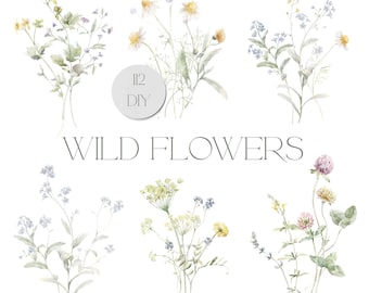 May include: A set of six watercolor illustrations of wild flowers, including daisies, clover, forget-me-nots, and other wildflowers. The illustrations are in shades of blue, yellow, green, and pink.