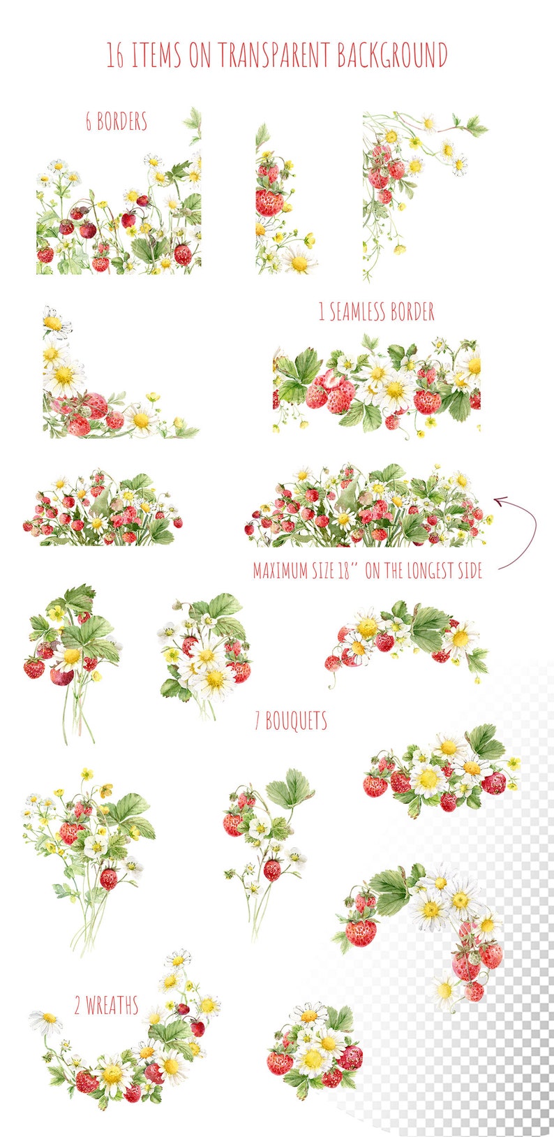 Watercolor Strawberry White Daisy Clipart Summer Floral Borders Hand ...