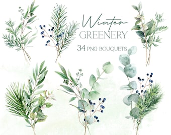 Watercolor winter foliage clipart, greenery downloads, green leaves digital image files, real hand-painted watercolor illustration