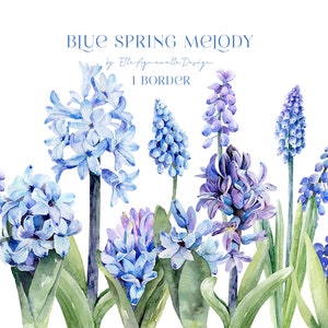 Primavera clipart, flores azuis aquarela clip art, jacinto, muscari, borda floral png, sublimação, dia das mães