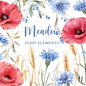 Aquarel veld bloemen clipart, aquarel klaprozen png, wilde bloemen, klaproos png, bloemen clipart, illustraties wilde bloemen, rode bloemen