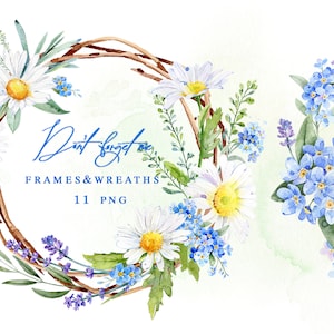 Clipart acquerello di fiori di margherita, cornice, clipart di camomilla, corona floreale png, clipart di nozze, fiori acquerellati, non ti scordar di me, stampabile