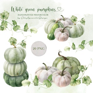 Clipart de calabaza verde y blanca en acuarela, imagen digital de calabazas pintadas a mano, elementos de bricolaje en acuarela para hacer tarjetas