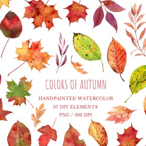 Herbst Blätter Clipart, Herbst Clipart png, Blatt Aquarell Clip Art, Herbst Aquarell Clip Art, rote Ahornblätter, orange, Herbstblätter