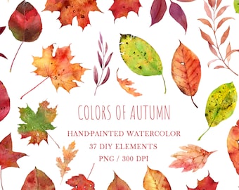 Imágenes prediseñadas de hojas de otoño en acuarela – Hoja de otoño PNG - Imágenes prediseñadas de hojas de arce rojas - Elementos de bricolaje Descarga digital