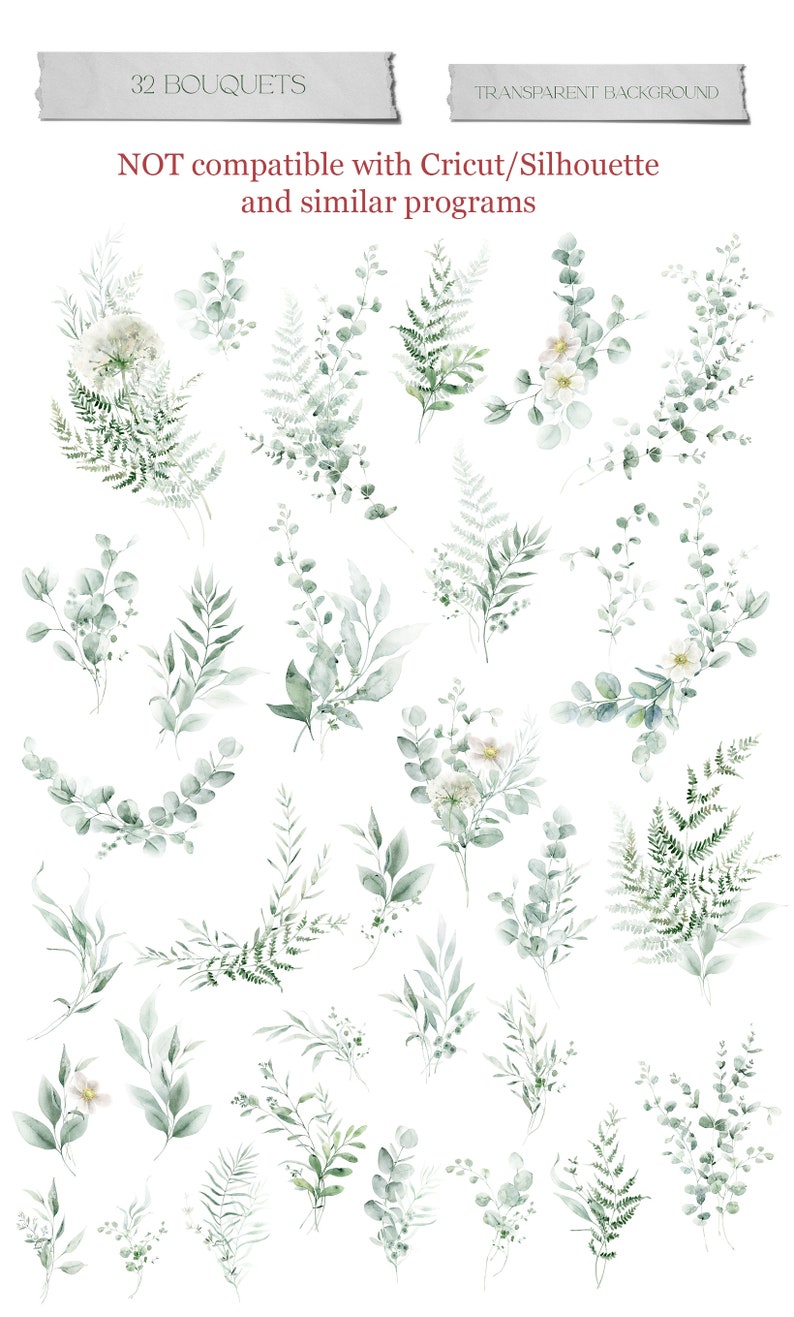 May include: A set of 32 watercolor illustrations of green foliage and white flowers. The illustrations are on a transparent background and are not compatible with Cricut/Silhouette and similar programs.