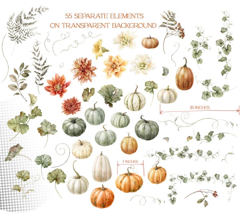 Real Watercolor Pumpkin Clipart Lovely Floral Pumpkin Set With Fall ...
