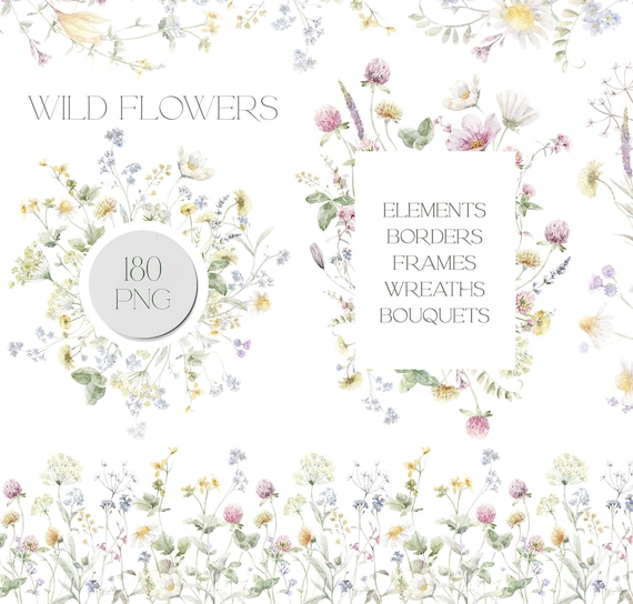 Watercolor wild flowers clipart bundle, watercolor floral borders, summer wildflowers, wild flower clipart, field flowers, floral wreath png