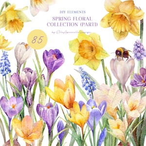 Clipart de flores da primavera, narcisos em aquarela, açafrões, flores em aquarela digital, gráficos florais amarelos e roxos, elementos individuais