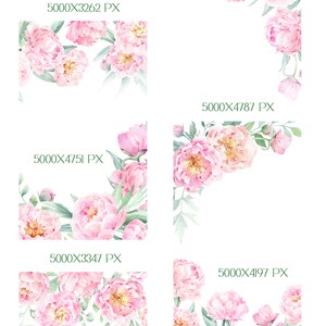 Watercolor Peony Clipart, Peonies Png, Blush Pink Flowers Clipart ...