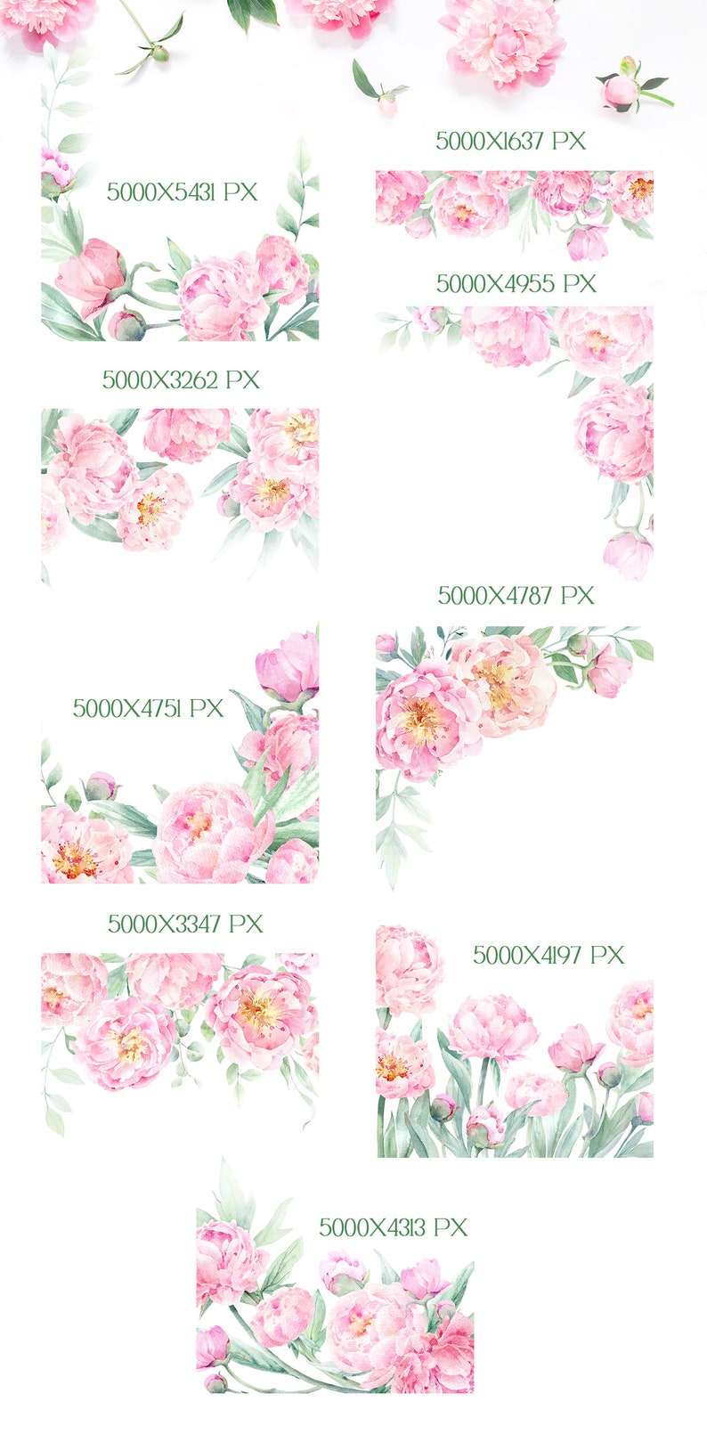 Watercolor Peony Clipart, Peonies Png, Blush Pink Flowers Clipart ...