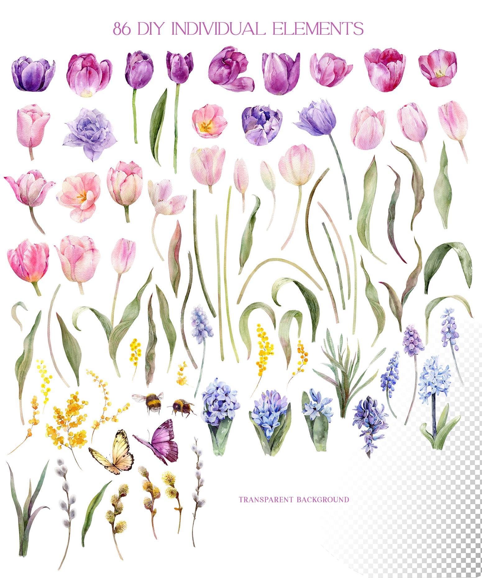 Watercolor Spring Flower Clipart, Tulip Clip Art, Spring Clipart ...