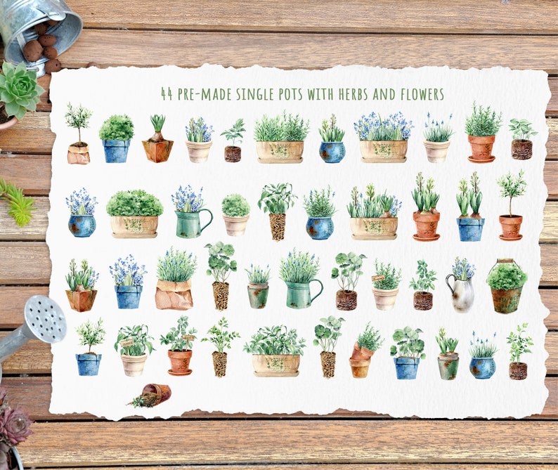 Watercolor potted plants clipart, gardening watercolour for stickers, sublimation design, herbs and flowers png