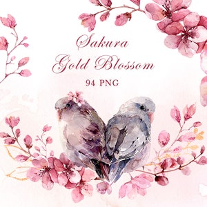 Clipart de flor de cerejeira clipart aquarela sakura clipart de primavera, png floral de primavera, rosa empoeirada, floral rosa, clipart de casamento rosa blush