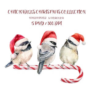 Chickadee clipart, aquarel wintervogels, vogel illustraties, kerst png, mezen, sublimatie, gratis commercieel gebruik