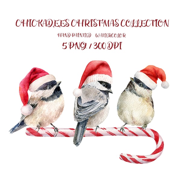 Chickadee clipart, watercolor Christmas clipart, winter birds, bird clipart, Christmas png, chickadees, sublimation, free commercial use