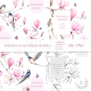 Pacote de clipart de magnólia, clipart de flores rosa, flores em aquarela e pássaros png, clipart de bordas florais de primavera, arte de linha botânica