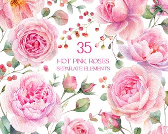 Pink flower clipart, pink roses watercolor flowers clipart, watercolour floral clip art, separate floral elements png, graphics