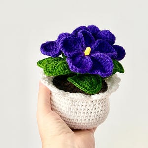 Handmade Crochet American Violet in Pot: Personalized Gift (15–16 cm)