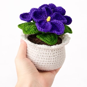 May include: A crocheted African violet plant in a small, off-white pot. The flower has vibrant purple petals with a yellow centre, and green leaves. The pot is held in a hand against a white background.
