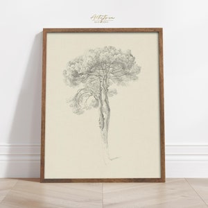 PINE TREE DRAWING, Digital Wall Art Print, Mediterranean Pine Sketch, Mute Neutral Country Home Decor, Tree Rustic Print Gift, Download, 902
