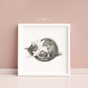Sleeping CAT Print, Vintage Sketch, Nursery Wall Art, CAT Wall Art, KITTEN Poster, Pencil Drawing, Baby Bedroom Print, Digital Download, 813