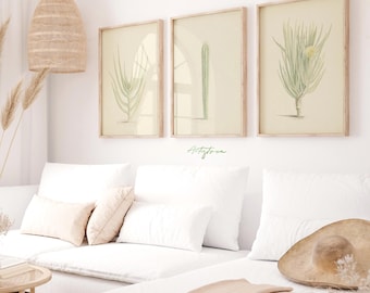 CACTUS Retro Wall Art 3 Matching Print Set Cactus BOTANICAL Wall Art Neutral Gallery Set SUMMER Muted Poster Gift Digital Download Art, 439