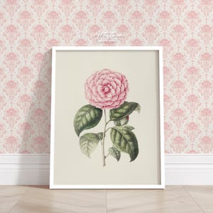Pink CAMELLIA Wall Art, SPRING Flower Print, Vintage Pink Botanical, Pink Bedroom Decor, Gift For Her, Cottage Digital Poster, Download, 185