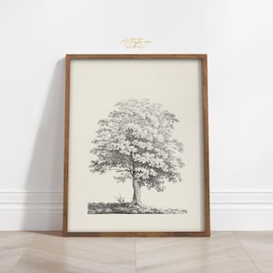 OAK DRAWING Vintage Wall Art, Tree Sketch Digital Print, Oak Tree Country Home Decor, Tree Pencil Sketch Poster, Oak Tree Print Download 667