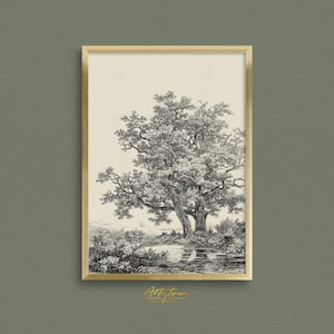 Oak TREE Drawing, Vintage Wall Art, Digital Pencil SKETCH, Oak Tree Print, Rustic Cottage Decor, Printable Poster, Instant DOWNLOAD Art, 787