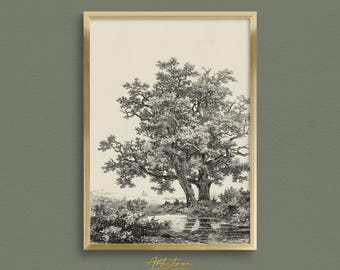 Könnte beinhalten: Eine Schwarzweiß-Zeichnung eines großen Baumes mit einem Teich im Vordergrund. Der Baum befindet sich in der Mitte des Bildes und hat viele Äste. Der Teich befindet sich in der unteren rechten Ecke des Bildes und hat eine Spiegelung des Baumes.