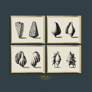 SEASHELL Neutral Wall Art BEACH Retro Poster Gift 4 Matching Print Set SUMMER Wall Art Seashell Collection Digital Gallery Set Download, 793