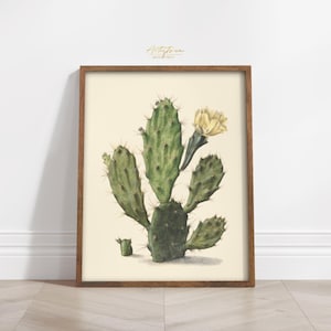Green CACTUS Wall Art, Vintage Botanical Wall Art, CACTUS Digital Print, Green CACTUS Poster, Beach Home Decor, Cactus Instant Download, 771