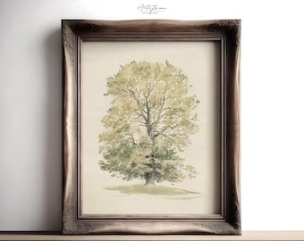 TREE Watercolor, Digital Sketch, VINTAGE Wall Art, Green Tree Print, Tree Retro Poster, Rustic Wall Art, Country Cottage Decor, DOWNLOAD 792