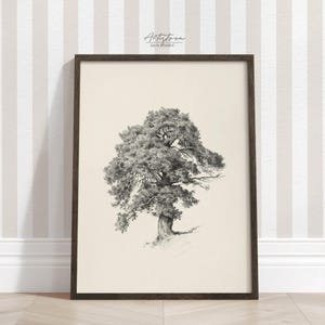 Pine TREE Sketch Wall Art Tree Digital Poster Tree NEUTRAL Print Tree Vintage Drawing Cottage Retro Poster Living Room Wall Art DOWNLOAD 684