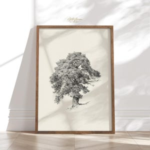 TREE Drawing Wall Art, TREE Digital Print, Tree Mute Vintage Sketch, TREE Drawing Poster, Pine Tree Print, Country Home Decor, Download, 684