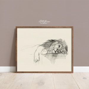 Sleeping LION Print, LION Vintage Sketch, LION Wall Art, Lion Drawing, Kids Bedroom Poster, Lion Wall Art, Lion Digital Print, Download, 832