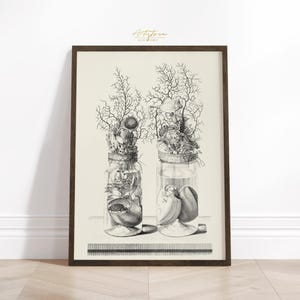 SEASHELLS CORALS Vintage Wall Art, Seashell Digital Print, Seashell Sketch Poster, Beach CHINOISERIE Vase, Seashell Mute Print Download 967