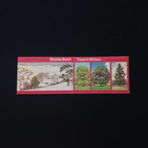 Vintage Brooke Bond Picture Cards Album/Book - Trees in Britain