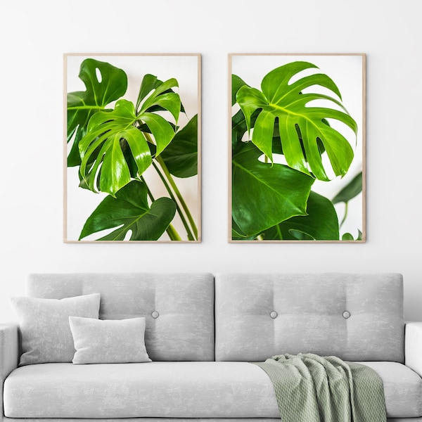 Set of 2 printable Monstera Leaf photos, Wall Art, Monstera Print, Tropical Print, Wall Art Print, Instant Download, Botanical Wall Print