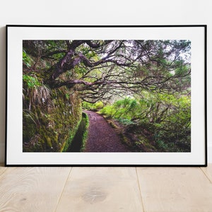 Madeira Levada Fotografitryck, Stämningsfullt Landskap (Digital Nedladdning)