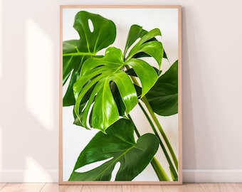 Monstera Leaf Print, Modern Botanical Wall Art (Digital Download)